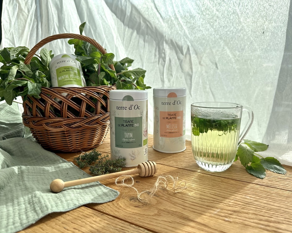 Melisa – Tisana bio 25 gr. - Imagen 4